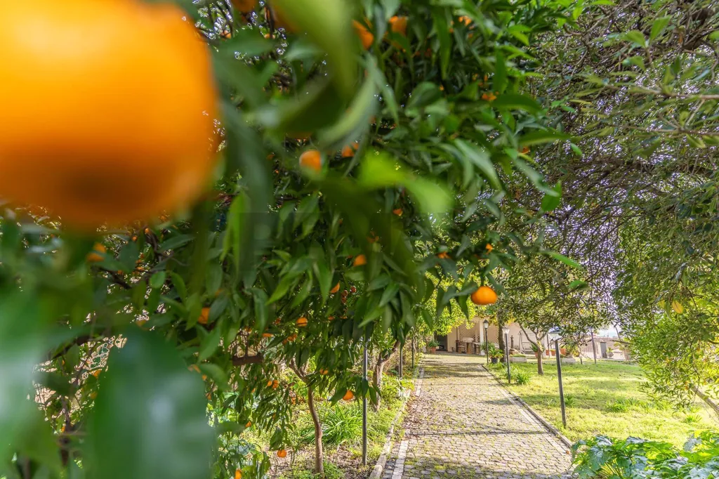 Aed - Historic Villa with Garden in San Castrese