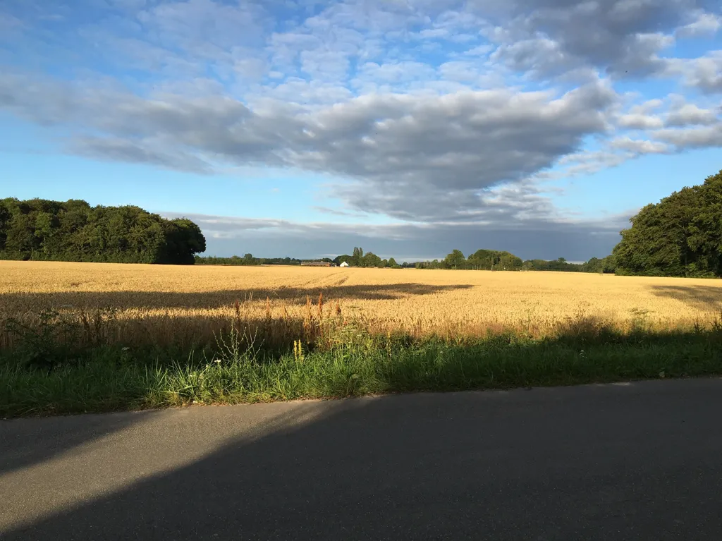 land_plot
