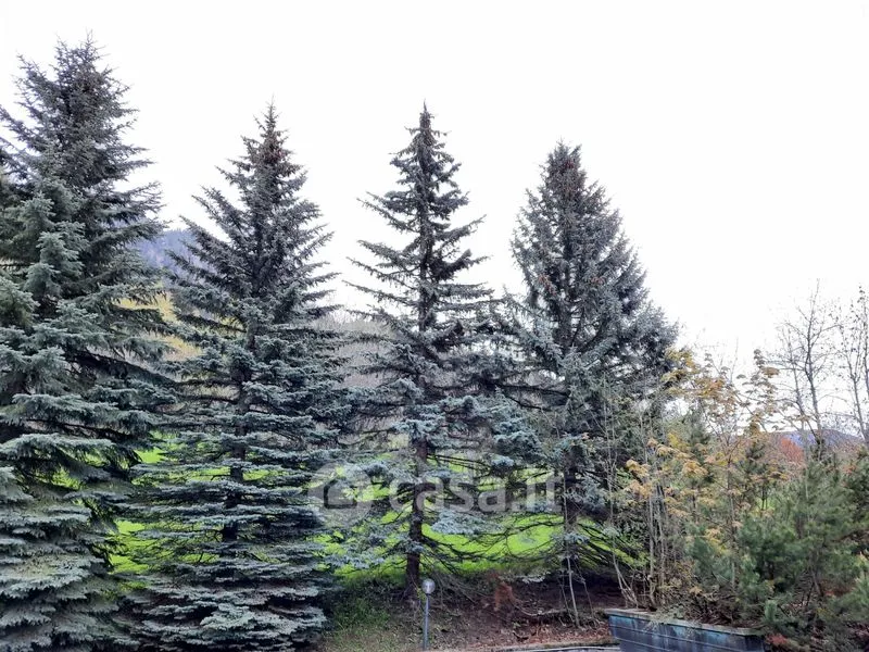 Aed - Panoramic Apartment with Balcony in Courmayeur