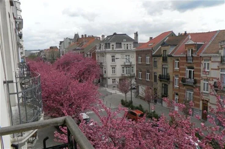 Välivaade - Apartment in Central Brussels