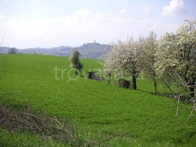 Garden - Rustic Stone Casale with Cultivable Land in Murazzano