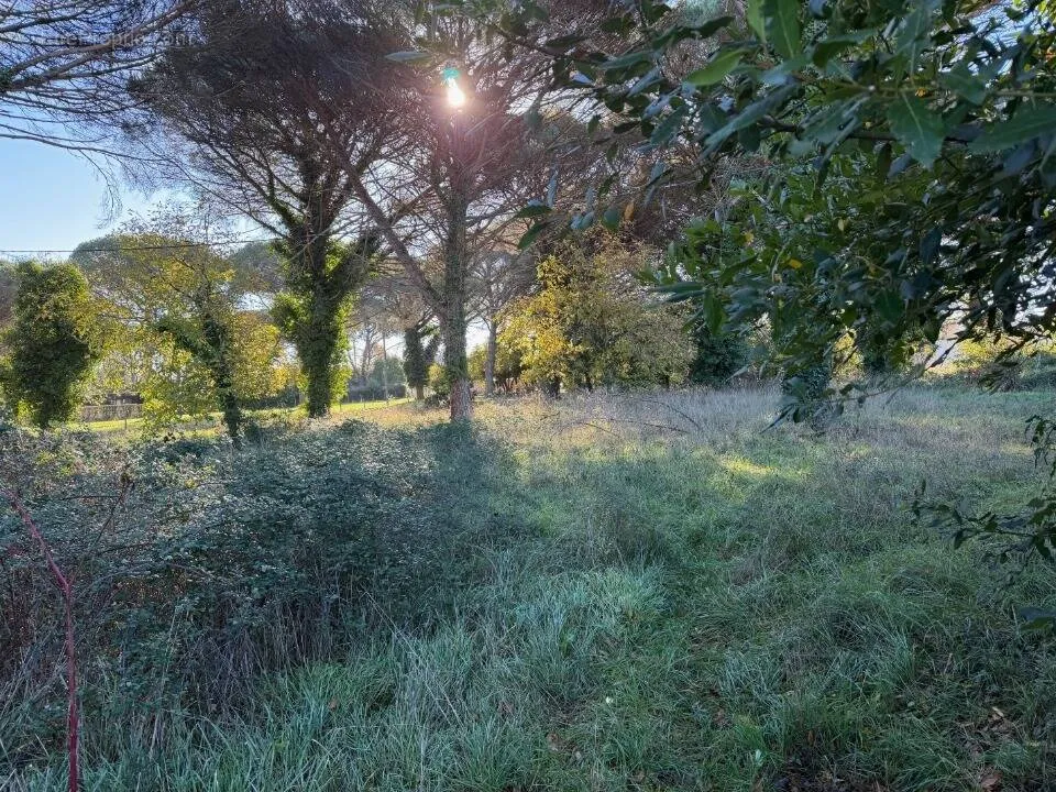 Aed - Buildable Plot with Garden in Saint-Maixant