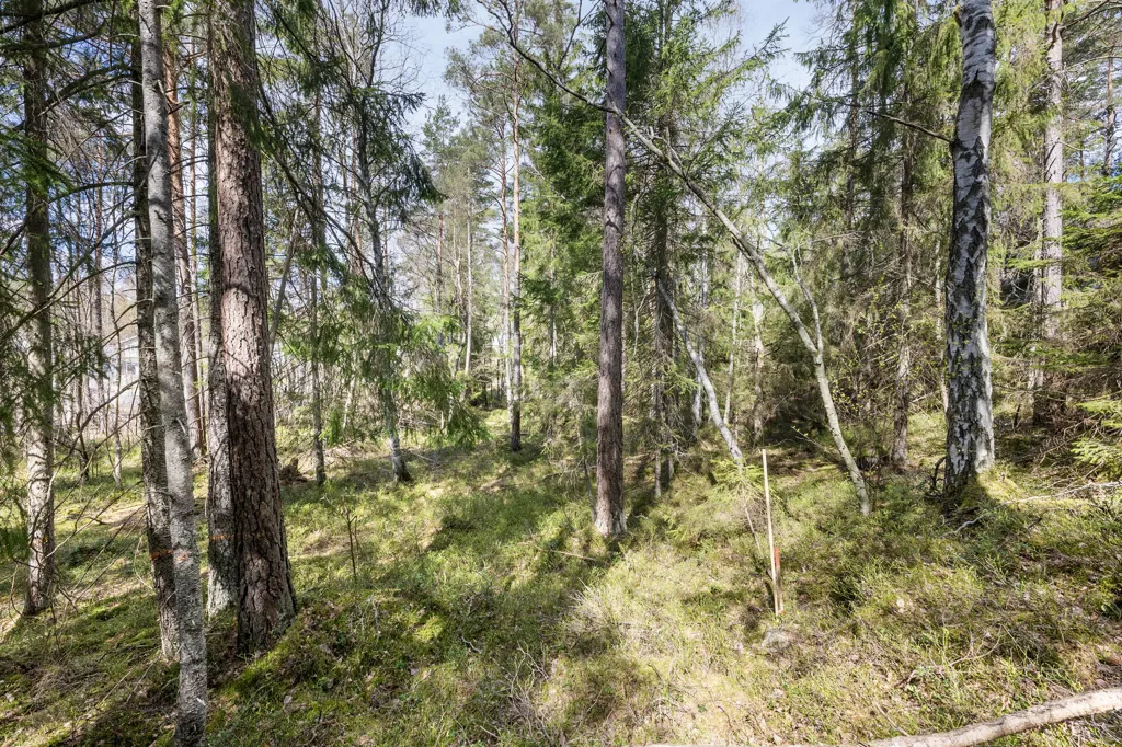 Aed - Detached House with Garden in Tyresö
