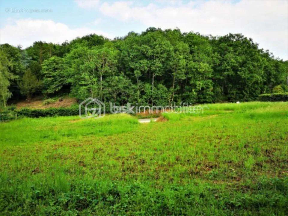 Giardino - Buildable Plot with Forest View near Épernon