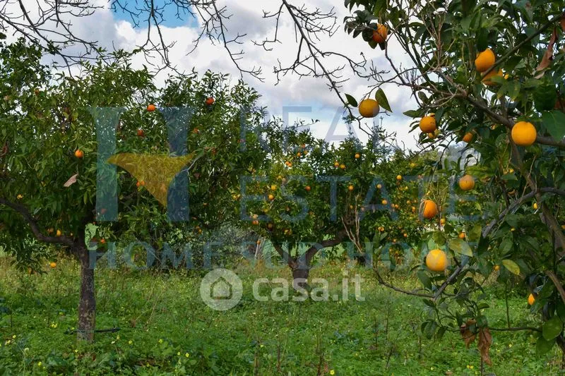 Jardin - Rustic Casale with Panoramic Views near Noto