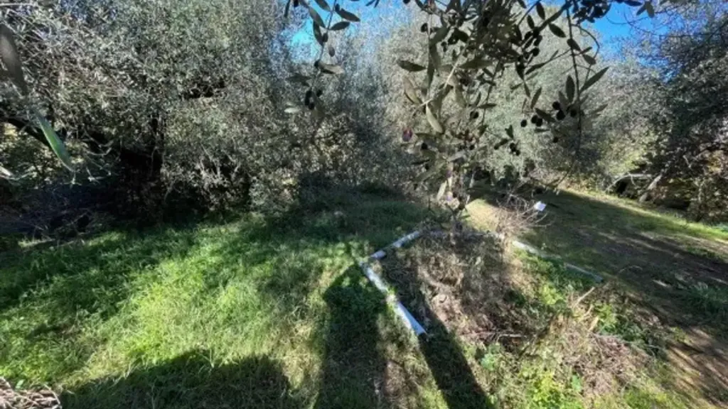 Giardino - Restored Apartment in Castle Walls, Macereto