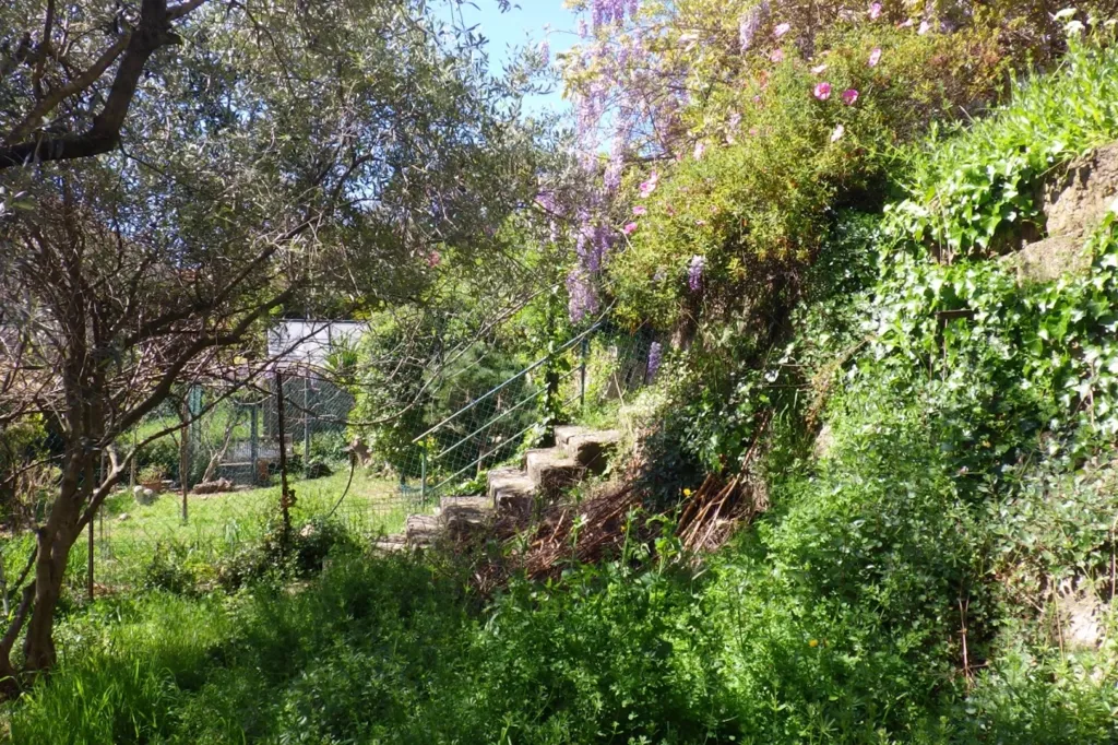 Jardin - Maison des Années 1930 avec Vue Mer à Grasse