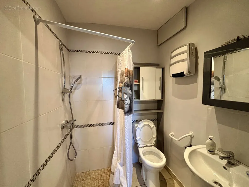 Salles de bain - Ensemble Immobilier avec Deux Logements à Carmaux