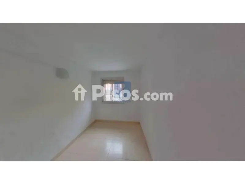 Toad - Occupied Flat in Terrassa, Barcelona