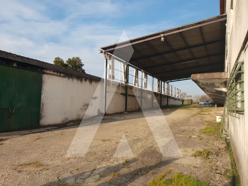 Jardin - Historic Wine Cellar with Storage in Anadia