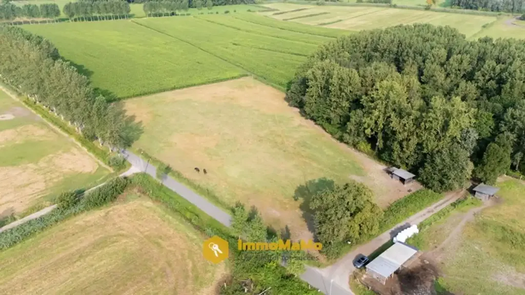 Vue aérienne - Villa avec Piscine Intérieure et Écuries à Mendonk