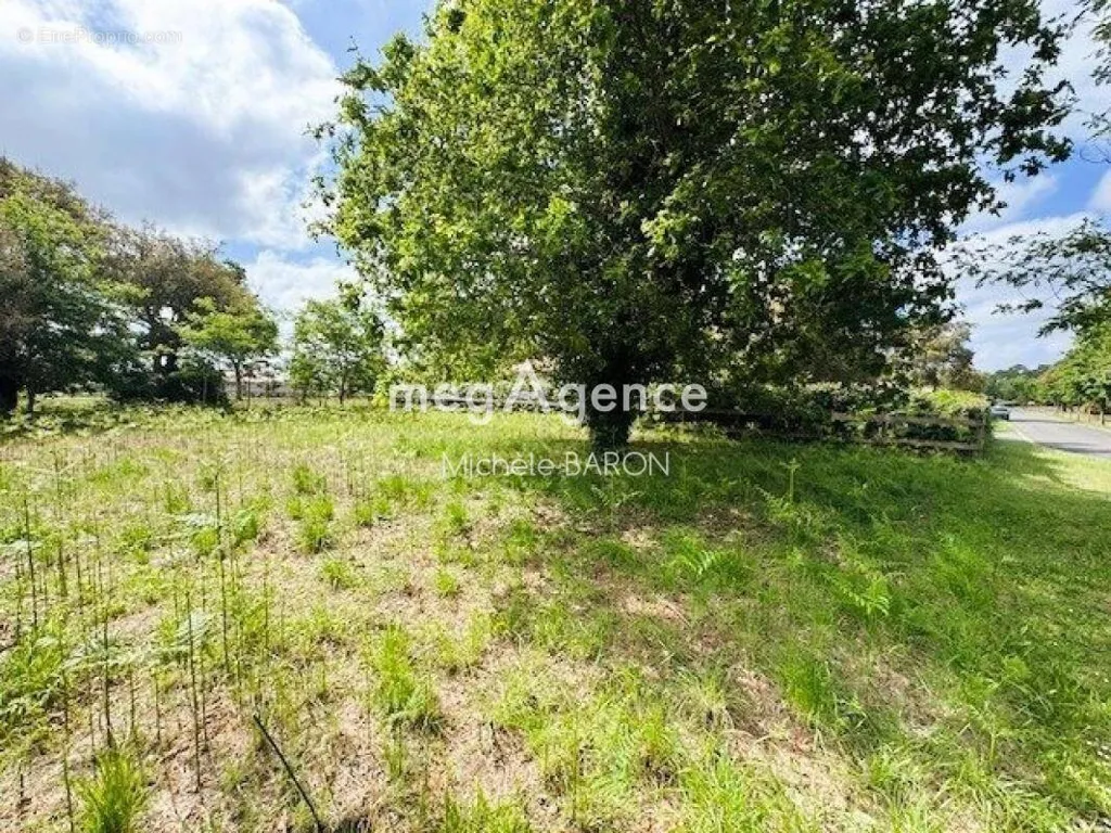 Aed - Buildable Plot with Golf Access in Moliets