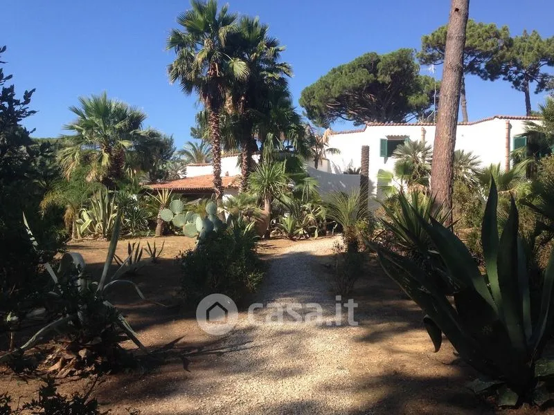 Jardin - Villa with Private Beach in Roccamare
