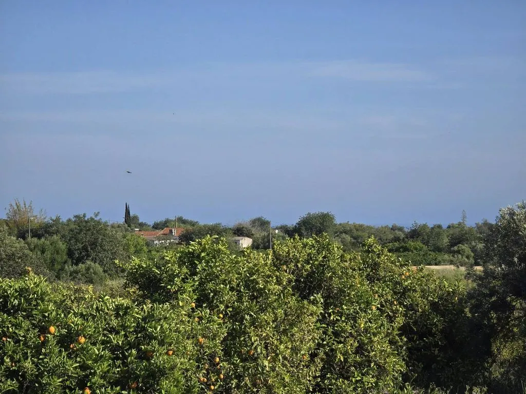 Jardin - Farmhouse with Fruit Trees near Tavira