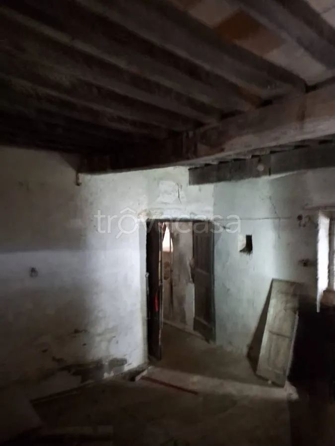 cellar