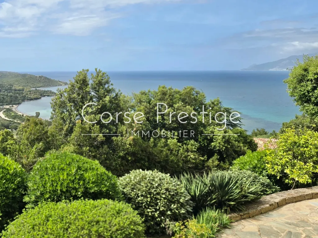 Terrass - Villa with Pool and Sea-Views in Saint Florent