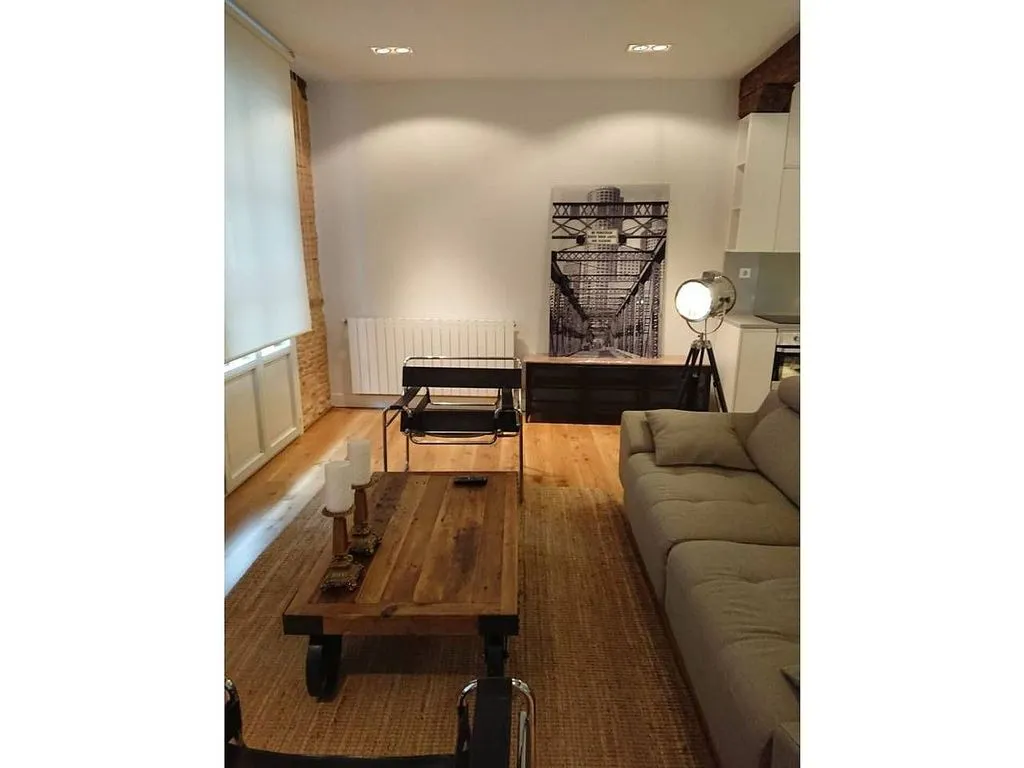 Séjour - Fully Furnished Flat in Casco Viejo