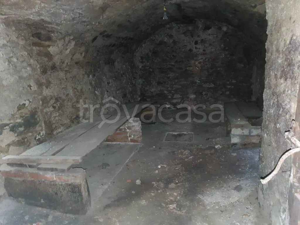 cellar
