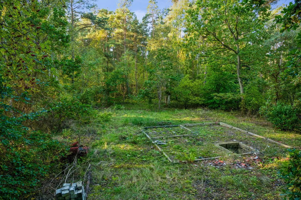 Jardin - Holiday Home Plot with Forest and Beach Access in Stege