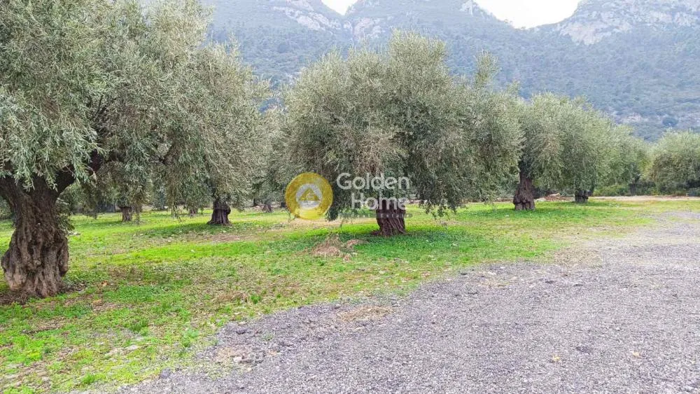 Aed - Buildable Plot with Sea View in Agios Konstantinos