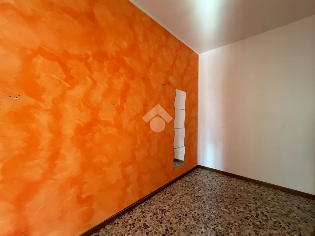 Toad - 3-Bedroom Apartment with Terrace in Modena