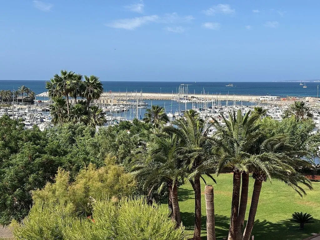 Giardino - Apartment with Sea View and Pool in Palma