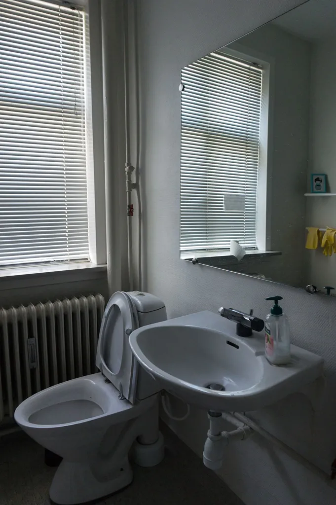 Vannitoad - Large Room in Central Aalborg with Garden