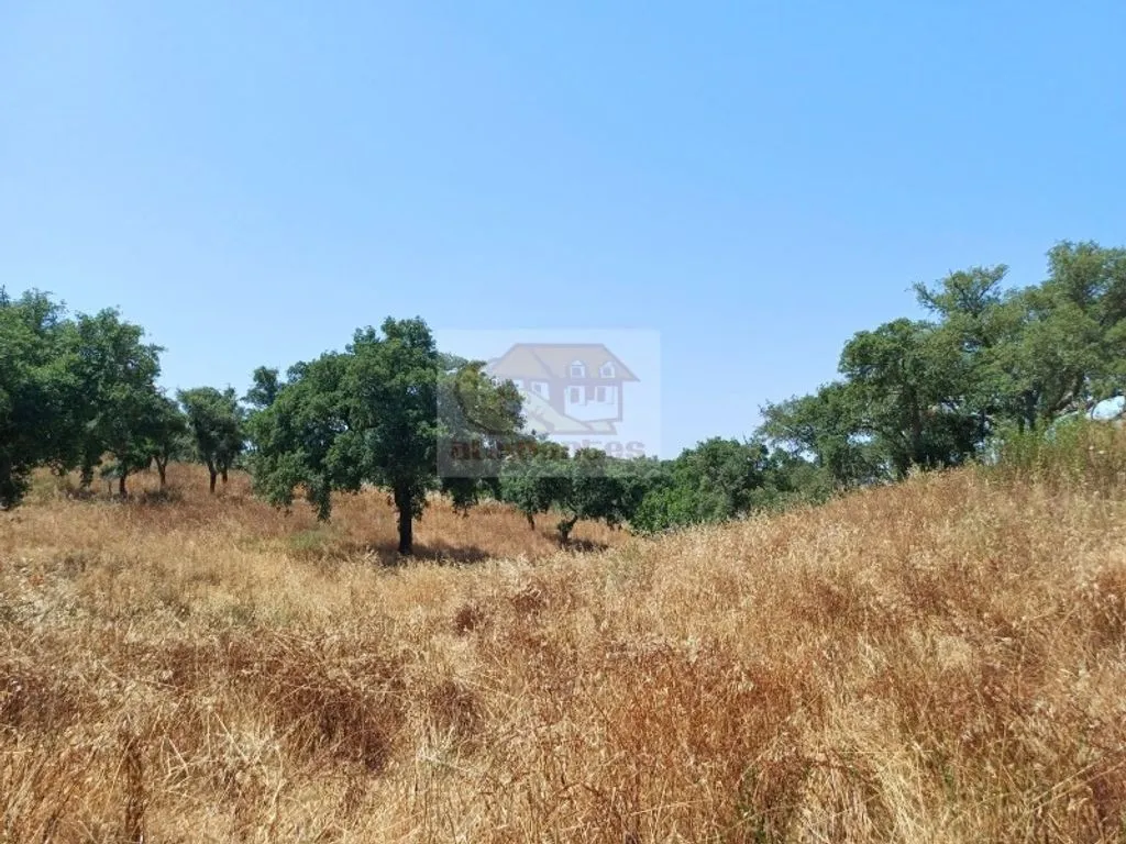 Garden - Development Land with Mountain Views in Grândola
