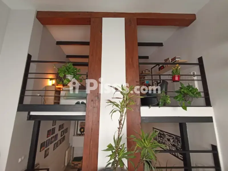 Toad - Reformed Duplex with West View in Malasaña