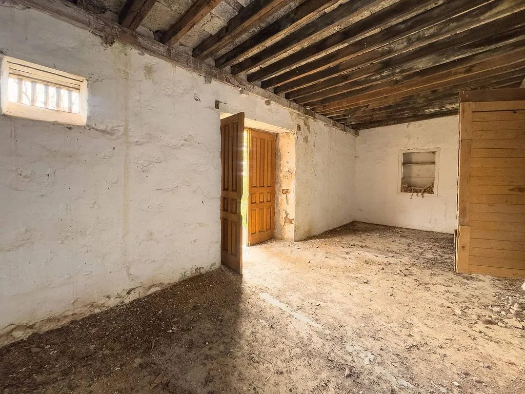 Toad - Rustic Property with Restoration Potential in Arafo