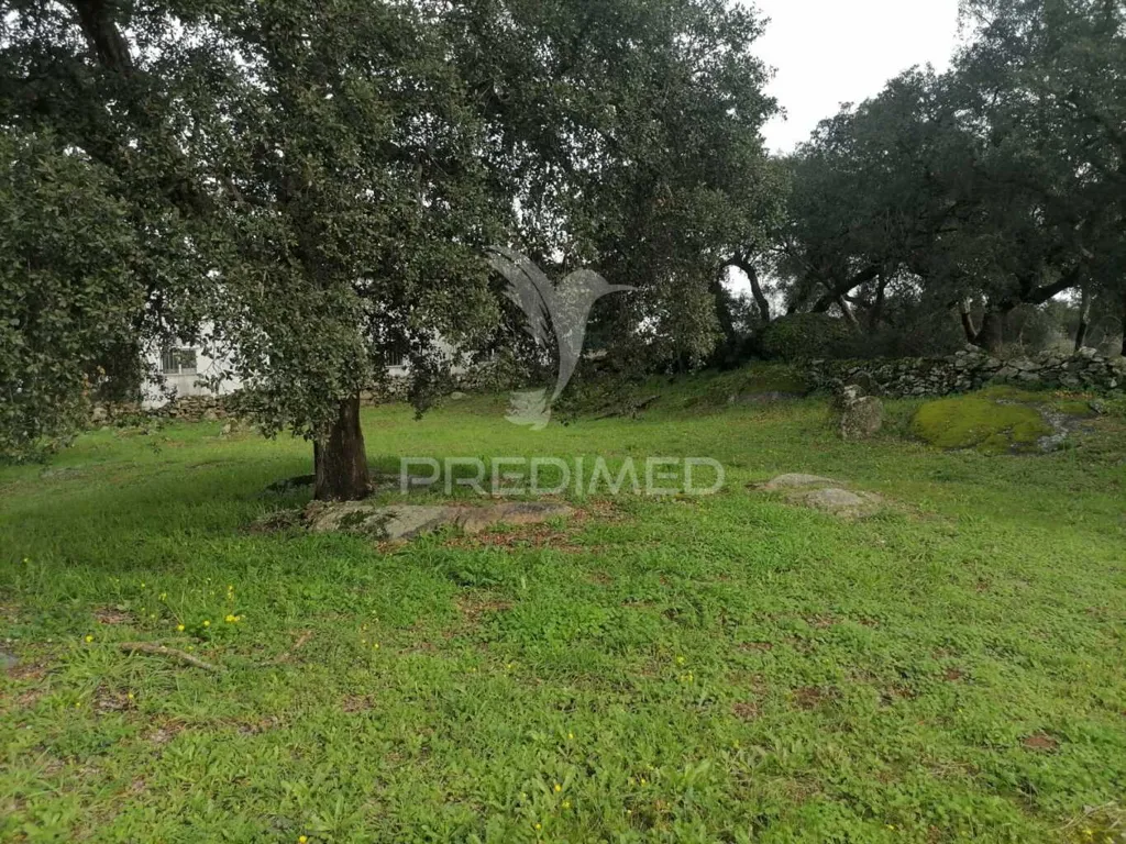 Aed - Plot for Construction in Alagoa