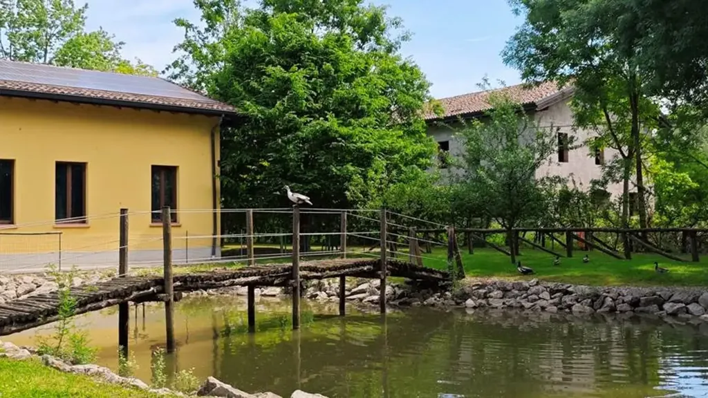 Exterior - Villa with Pool and Garden in Correggio