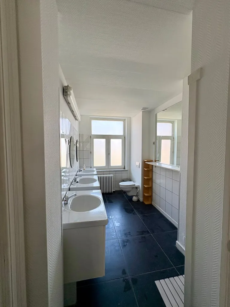 Vannitoad - 8-Bedroom House with Terrace in Anderlecht