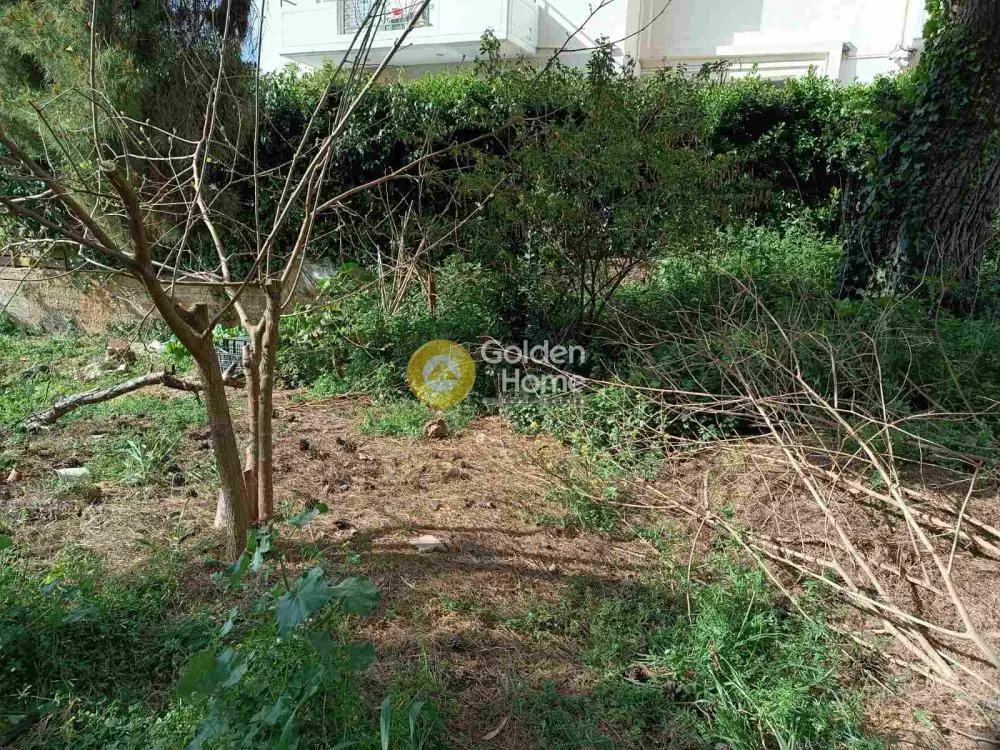Aed - Plot with Forest View in Melissia