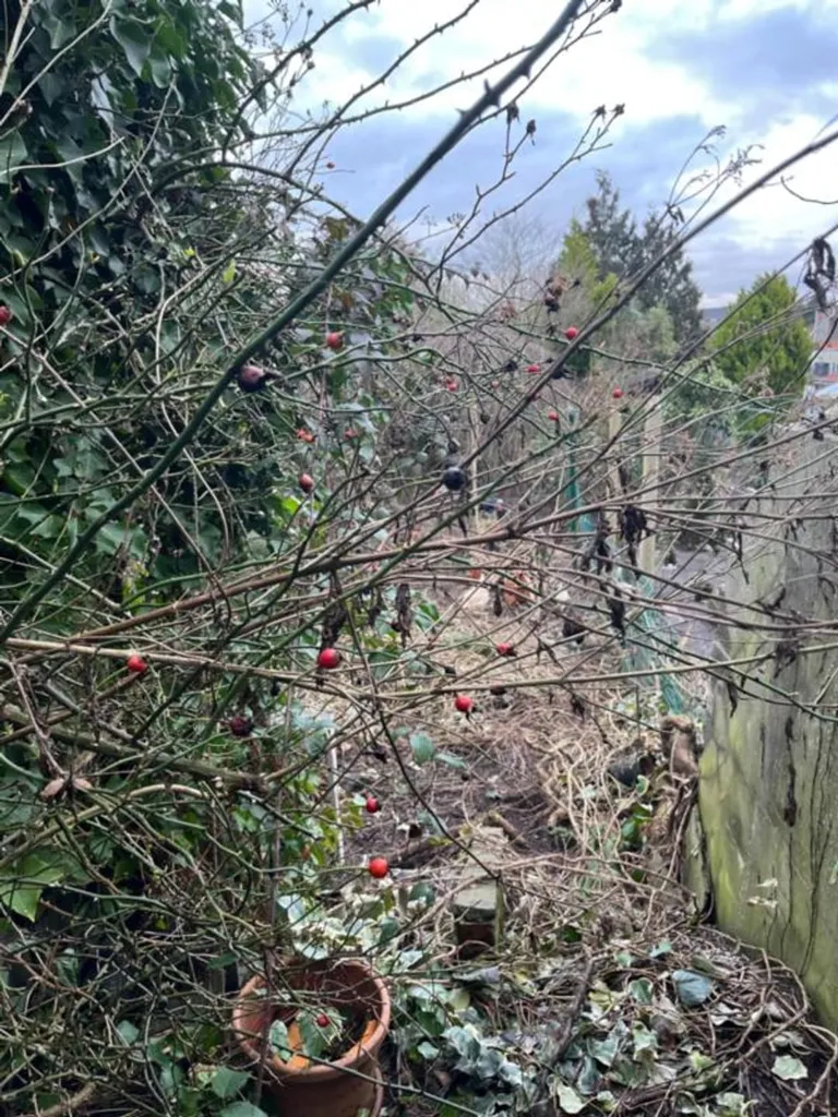 Jardín - Rijwoning to Renovate near Ronse Centre