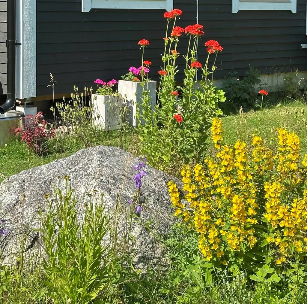 Jardin - Villa with Garden in Järlåsa