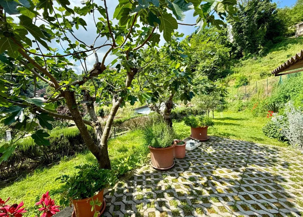Giardino - Restored Villa with Garden in Bra