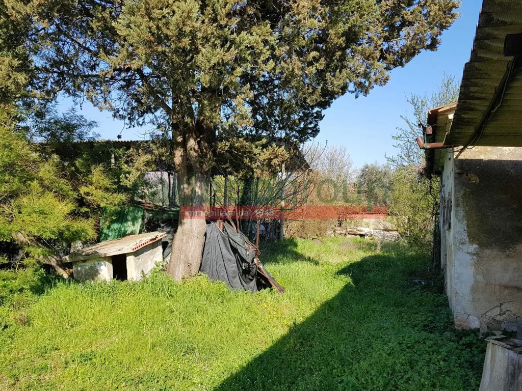 Aed - Tuscan Villa with Garden in Collesalvetti