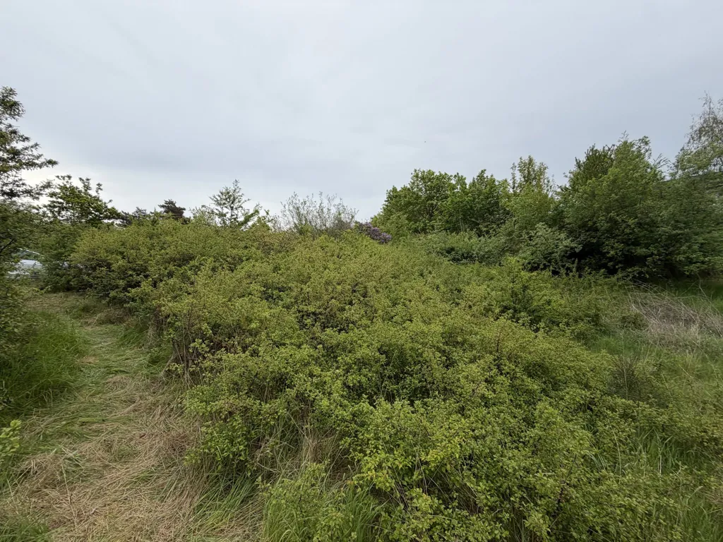 Aed - Vacation Plot in Knebel, Syddjurs