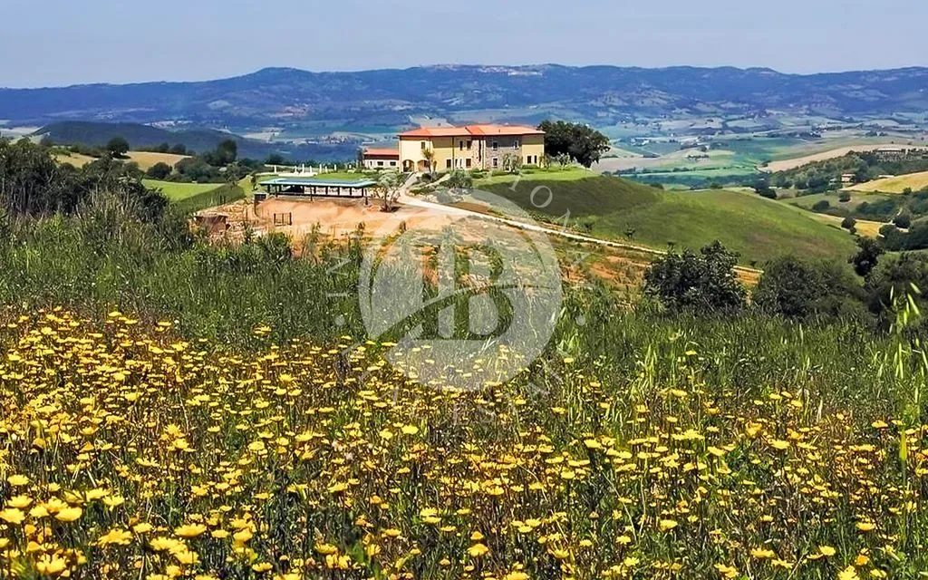 Jardín - Luxury Villa with Panoramic Pool in Manciano, Tuscany