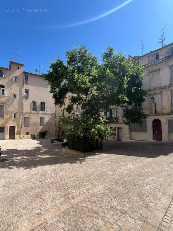 Aed - Charming Studio in Montpellier's Old Town