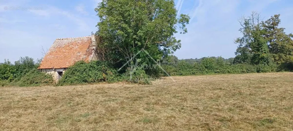 Garden - Rural Property with Panoramic Views in Gipcy