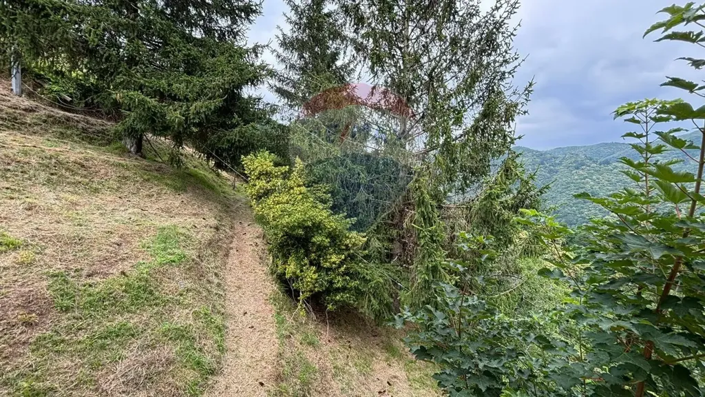 Aed - Rustic Bifamily Villa with Panoramic View in Crasciana