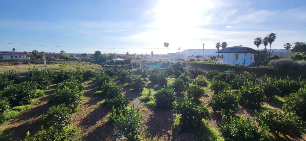 Garten - Villa with Lemon Trees near Fontane Bianche, Siracusa
