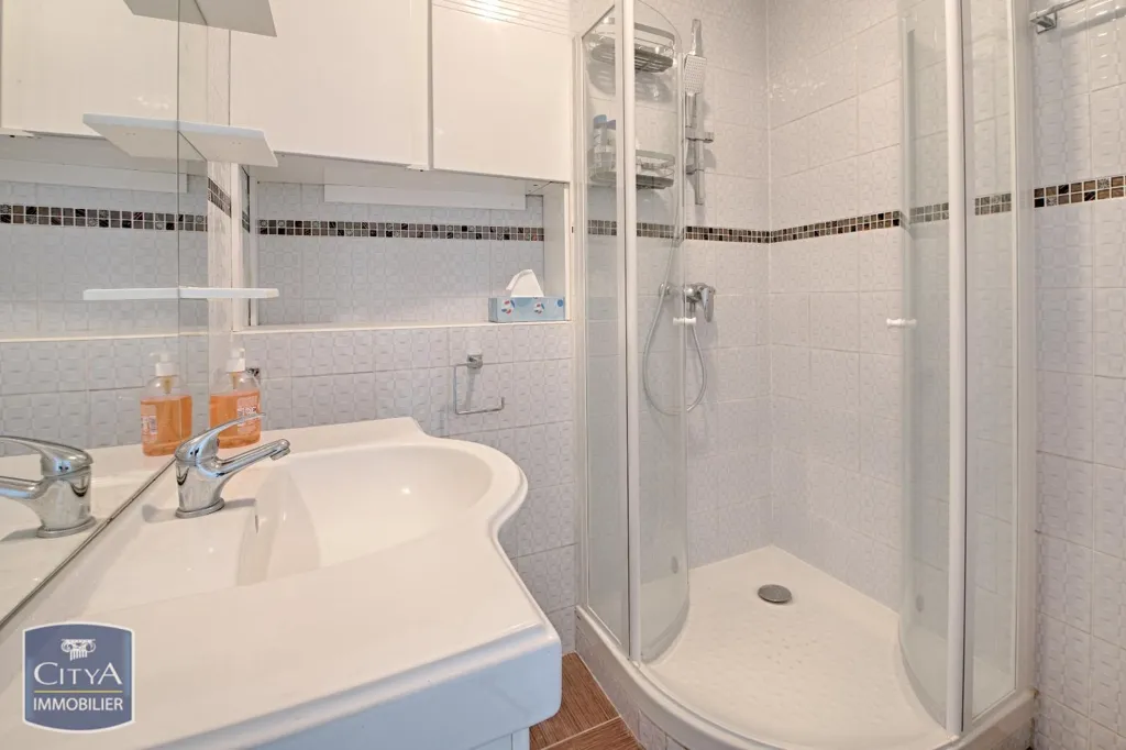 Salles de bain - Appartement Lumineux avec Vue Dégagée à Saint-Maurice