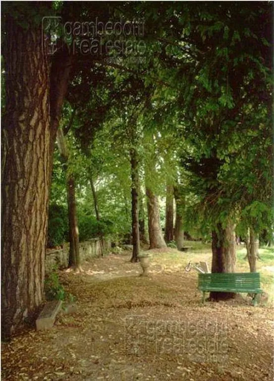 Historic Villa with Garden in Barge