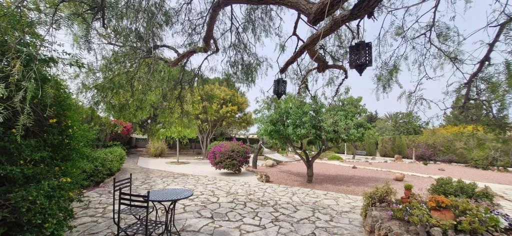 Jardin - Luxury Villa with Garden in Mutxamel