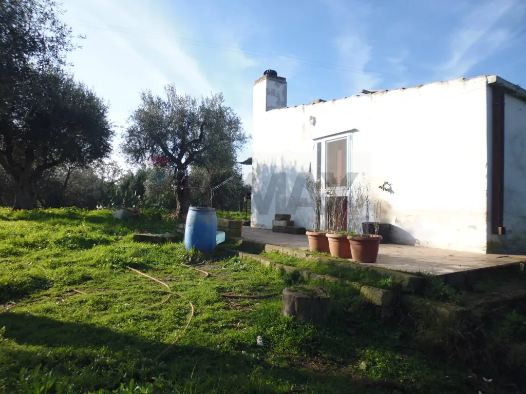 Extérieur - Agricultural Land with Olive Trees in Pisticci