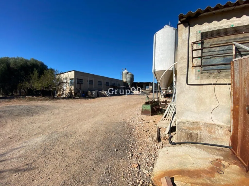 Jardin - Pig Farm with Cultivation in Cabanes