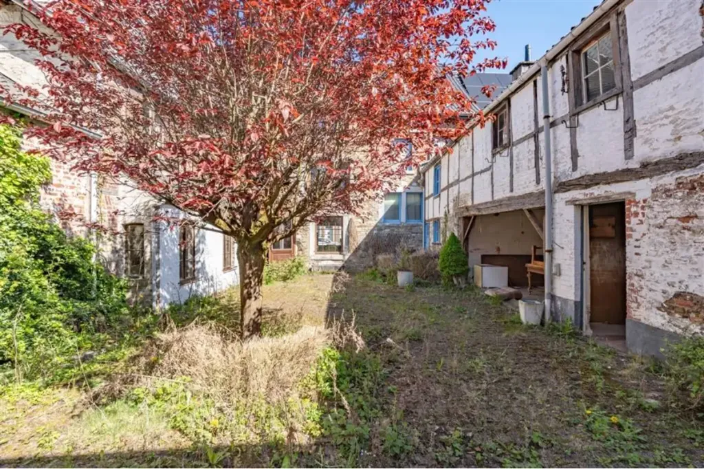 Giardino - Mixed-Use Property with Garden in Theux Centre